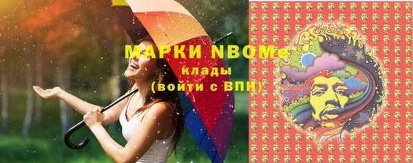 Альфа ПВП Елизово